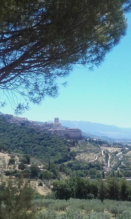 B&B Colle San Francesco Assisi Kültér fotó