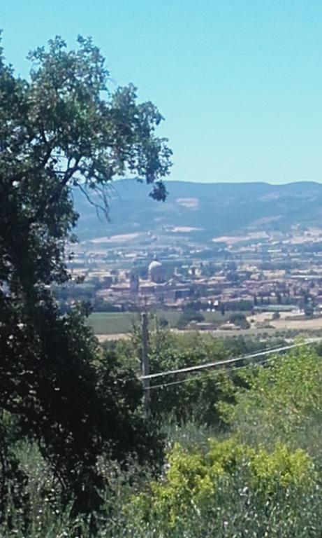 B&B Colle San Francesco Assisi Kültér fotó