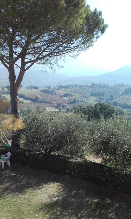B&B Colle San Francesco Assisi Kültér fotó
